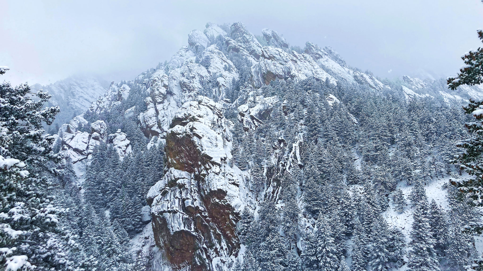 Snowy Dino Mountain