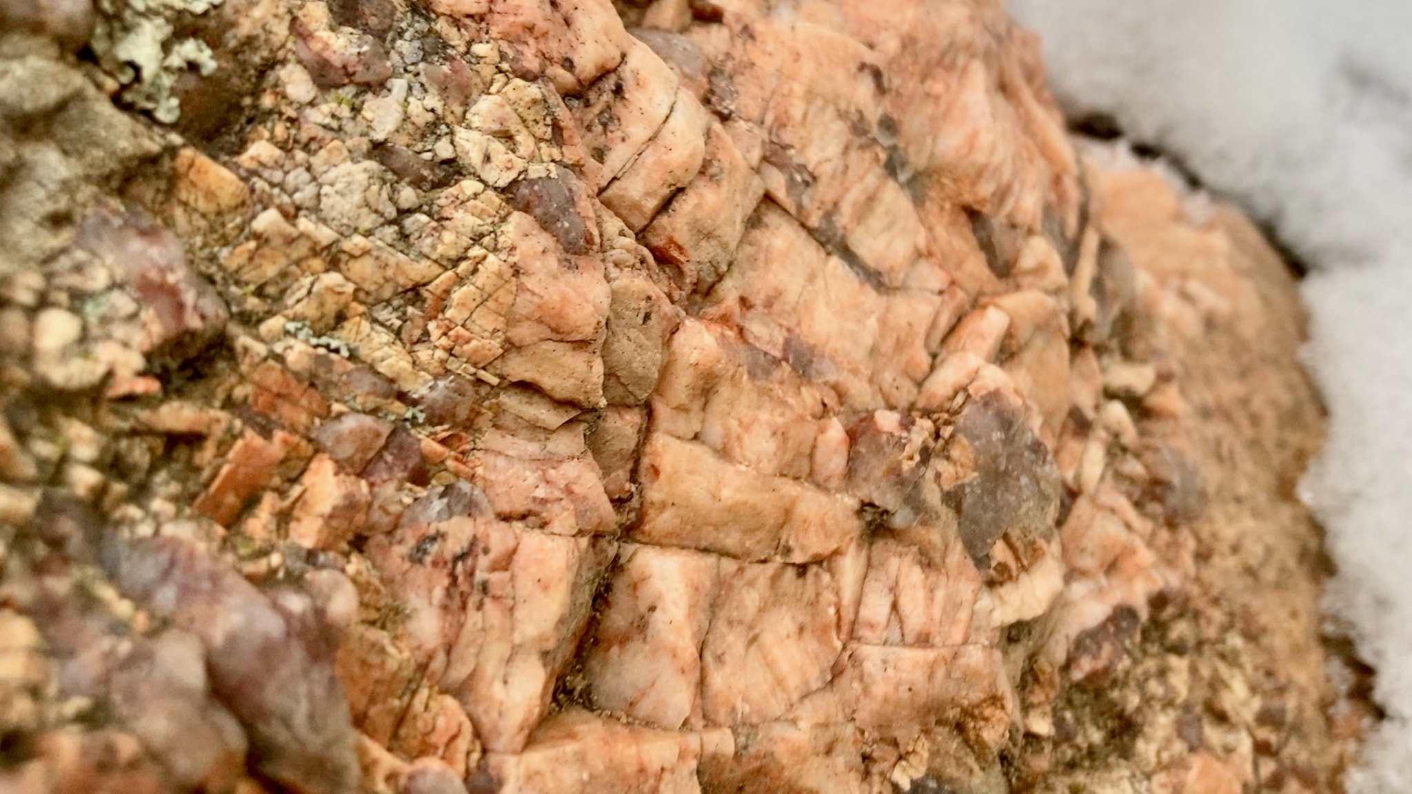 Typical crunchy Boulder Creek Batholith Granodiorite