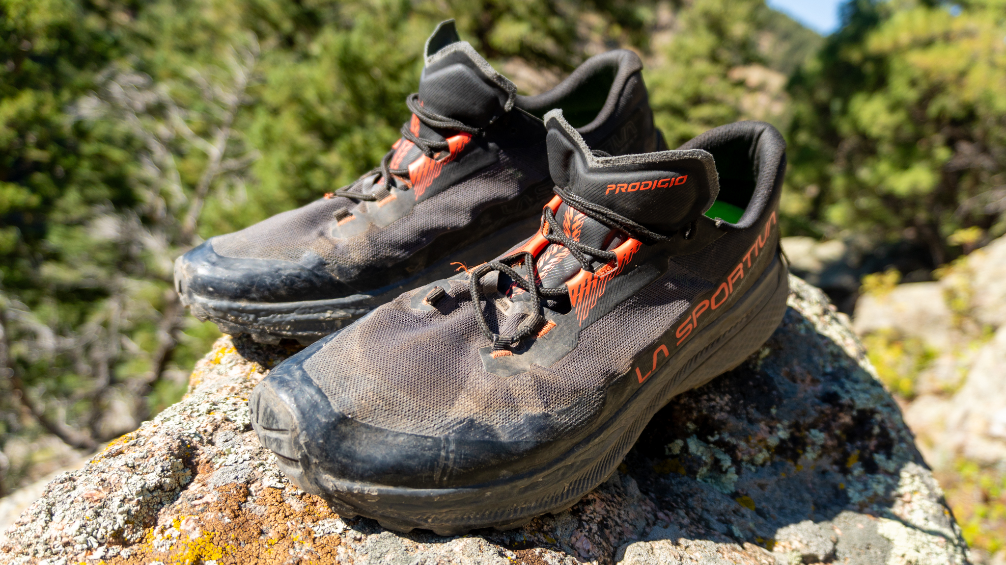 Colorado hiking shoes online